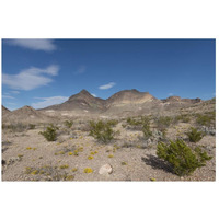 Scenery in Big Bend National Park, TX-Paper Art-26"x18"