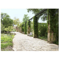 Paved walkway at the Lady Bird Johnson Wildflower Center, near Austin, TX-Paper Art-18"x14"