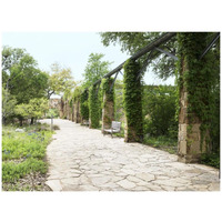 Paved walkway at the Lady Bird Johnson Wildflower Center, near Austin, TX-Paper Art-42&quotx32"