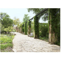 Paved walkway at the Lady Bird Johnson Wildflower Center, near Austin, TX-Paper Art-50"x38"