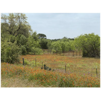 Field of wildflowers in Gonzales County, TX-Paper Art-42"x32"