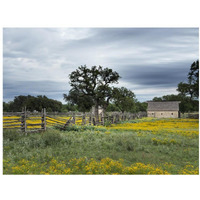 A beautiful wildflower array in a meadow in Johnson City, TX-Paper Art-18&quotx14"