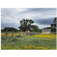 A beautiful wildflower array in a meadow in Johnson City, TX-Paper Art-34"x26"