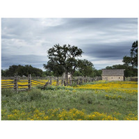 A beautiful wildflower array in a meadow in Johnson City, TX-Paper Art-42"x32"