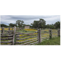 Vivid field of wildflowers in the Lyndon B. Johnson National Historical Park in Johnson City, TX-Paper Art-50"x26"