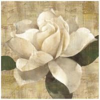 Gardenia Blossom on Script -Paper Art-20"x20"