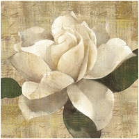 Gardenia Blossom on Script -Paper Art-32"x32"