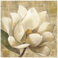 Magnolia Blossom on Script -Paper Art-20"x20"