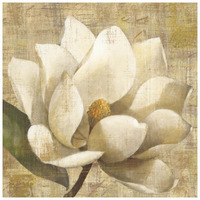 Magnolia Blossom on Script -Paper Art-26"x26"