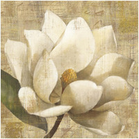 Magnolia Blossom on Script -Paper Art-32"x32"