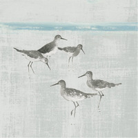 Sandpipers Square I Gray -Paper Art-38&quotx38"