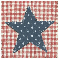 Americana Quilt II -Paper Art-26"x26"