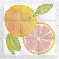 Citrus Tile VIII -Paper Art-26"x26"