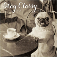 Cafe Pug Stay Classy -Paper Art-32&quotx32"