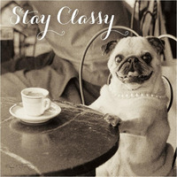 Cafe Pug Stay Classy -Paper Art-38"x38"