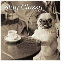 Cafe Pug Stay Classy V2 -Paper Art-26"x26"