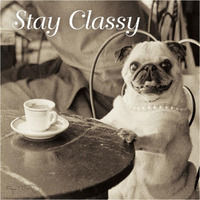 Cafe Pug Stay Classy V2 -Paper Art-38"x38"