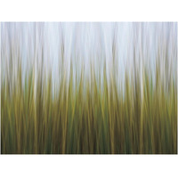 Sea Grass Canvas -Paper Art-18"x14"