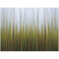 Sea Grass Canvas -Paper Art-50&quotx38"