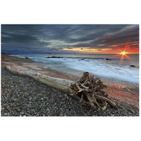 Sakonnet Driftwood -Paper Art-20"x14"