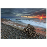 Sakonnet Driftwood -Paper Art-26"x18"