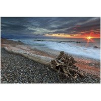 Sakonnet Driftwood -Paper Art-32&quotx22"