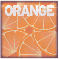 Citrus - Orange -Paper Art-20"x20"