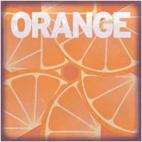 Citrus - Orange -Paper Art-32"x32"