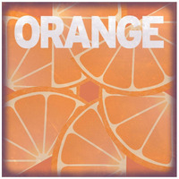 Citrus - Orange -Paper Art-42&quotx42"