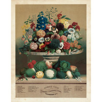 Flowers and Vegetable Seeds, 1871-1900 -Paper Art-14.5"x18"