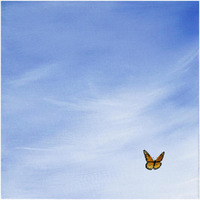 Big Sky Square Butterfly -Paper Art-20"x20"