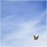 Big Sky Square Butterfly -Paper Art-32"x32"