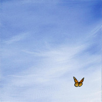 Big Sky Square Butterfly -Paper Art-38"x38"