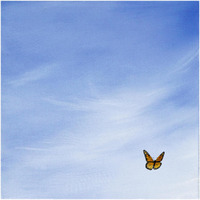 Big Sky Square Butterfly -Paper Art-42"x42"