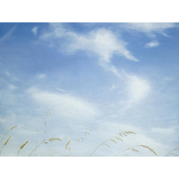 Big Sky-Summer Glee -Paper Art-50"x38"