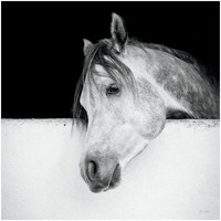 Lonesome Gray -Paper Art-32"x32"