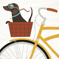 Beach Bums Dachshund Bicycle I -Paper Art-38"x38"