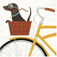 Beach Bums Dachshund Bicycle I -Paper Art-42"x42"