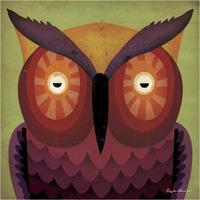 Owl Wow -Paper Art-38"x38"