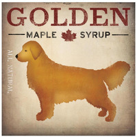 Golden Dog at Show No VT -Paper Art-26"x26"