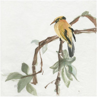 Black Napped Oriole -Paper Art-20"x20"