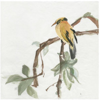 Black Napped Oriole -Paper Art-26"x26"