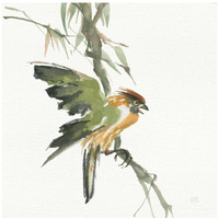 Formosan Firecrest -Paper Art-26"x26"