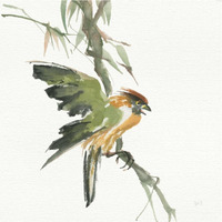 Formosan Firecrest -Paper Art-38"x38"