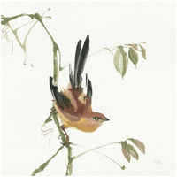 Mountain Bush Warbler -Paper Art-32"x32"