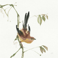 Mountain Bush Warbler -Paper Art-38"x38"