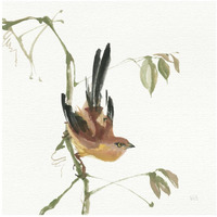 Mountain Bush Warbler -Paper Art-42"x42"