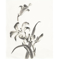 Sumi Daylily II -Paper Art-24"x30"