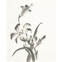 Sumi Daylily II -Paper Art-30&quotx37"