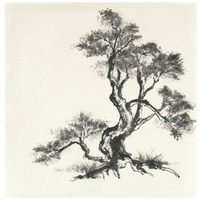 Sumi Tree I -Paper Art-20"x20"